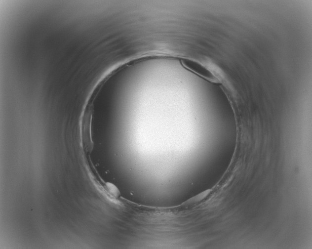 X0000068731238200605121510