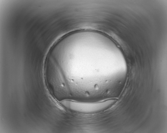 X0000068731240200605121510