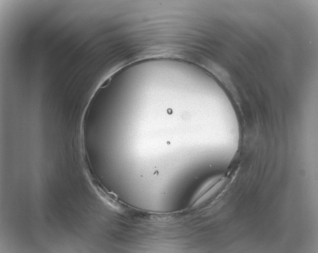 X0000068731242200605121510