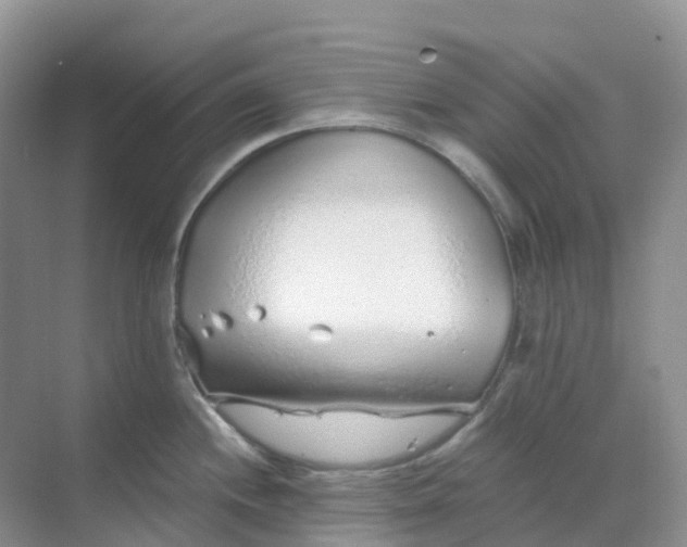 X0000068731244200605121510