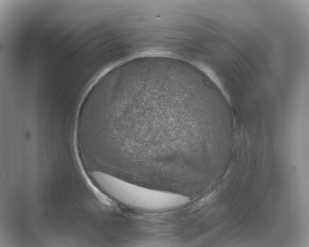 X0000068731245200605121510