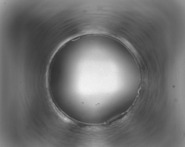 X0000068731246200605121510