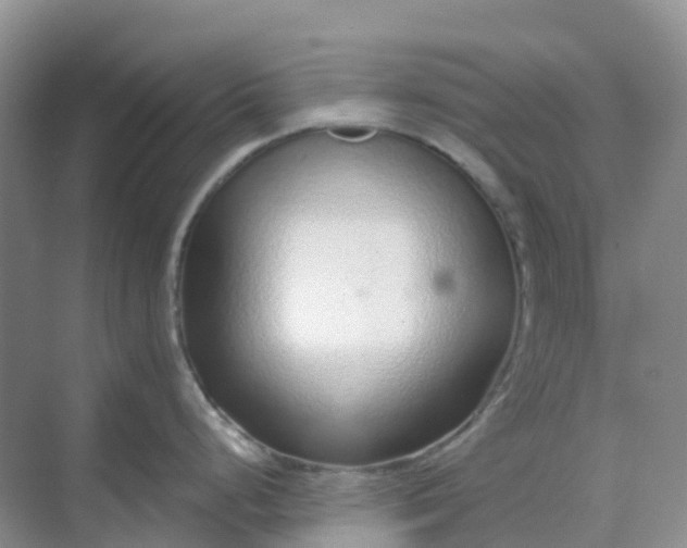 X0000068731248200605121510