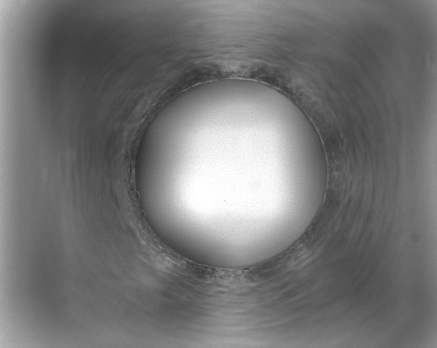 X0000068731249200605121509