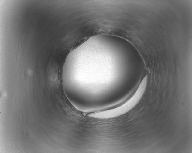 X0000068731250200605121509