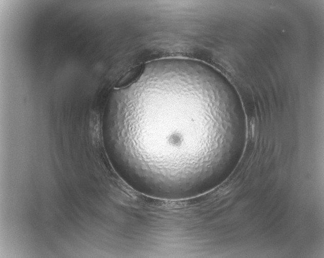 X0000068731251200605121509