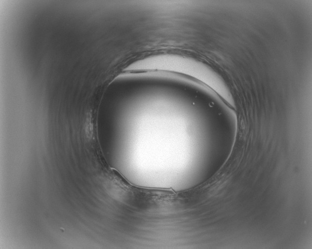 X0000068731252200605121509