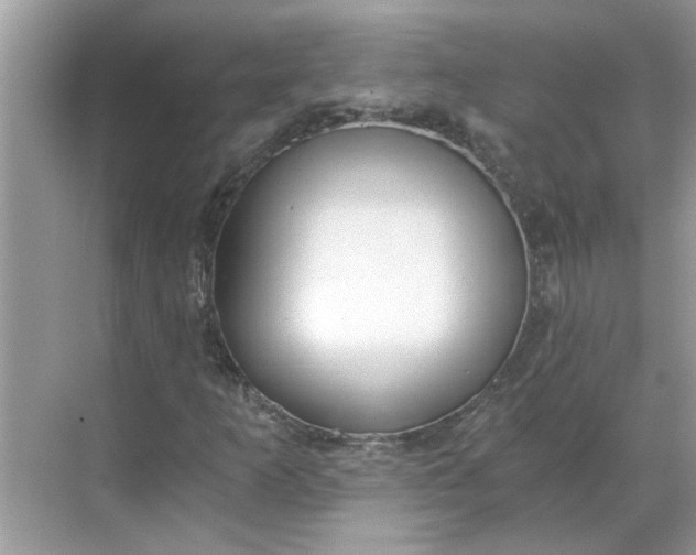 X0000068731253200605121509