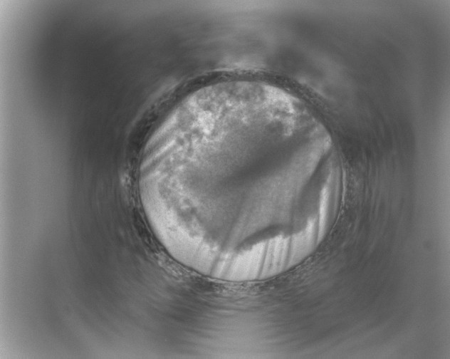 X0000068731254200605121509