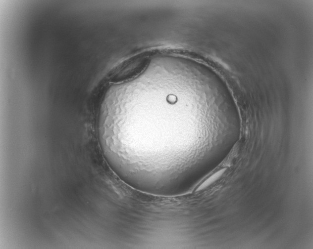 X0000068731255200605121509