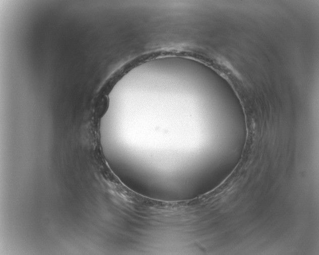 X0000068731256200605121509