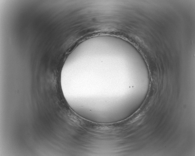 X0000068731257200605121509