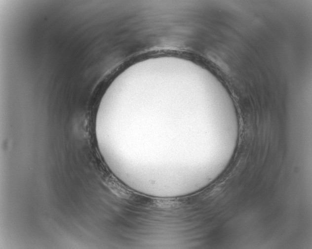 X0000068731258200605121509