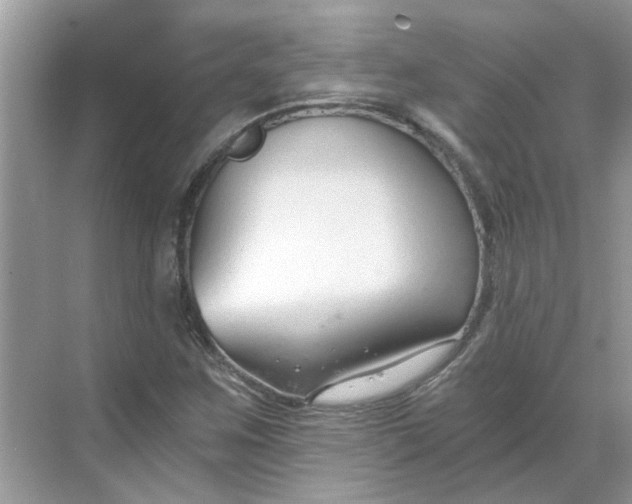 X0000068731259200605121509