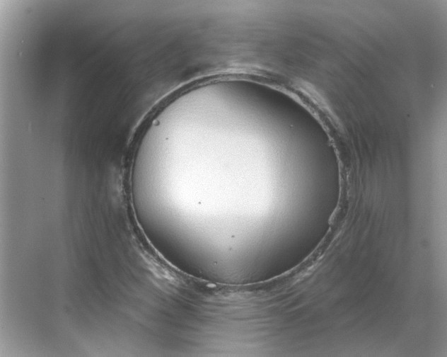 X0000068731260200605121509