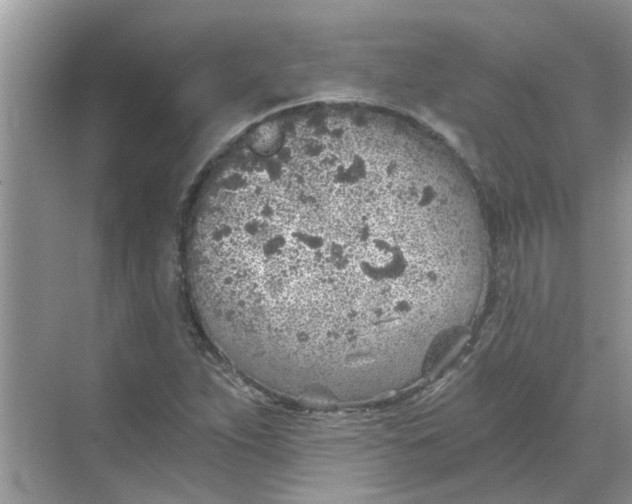 X0000068731263200605121509