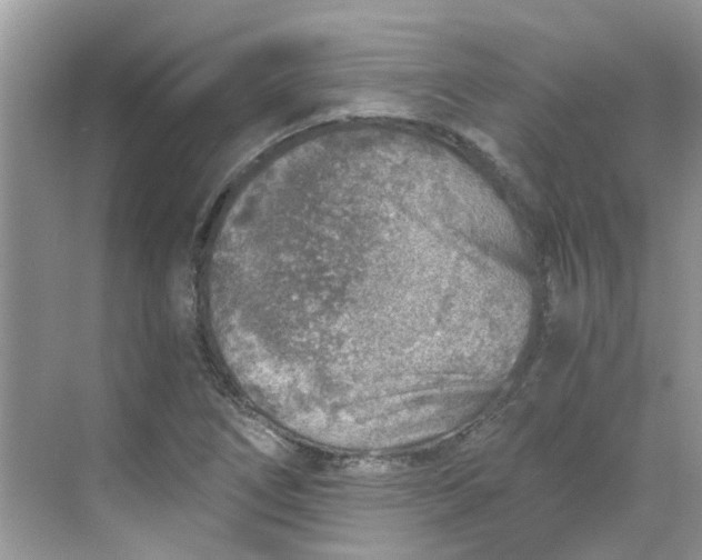 X0000068731266200605121509