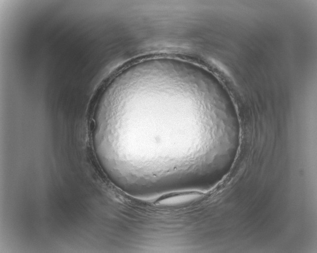 X0000068731267200605121509