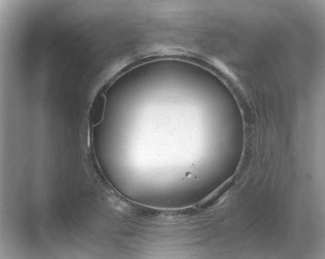 X0000068731269200605121509