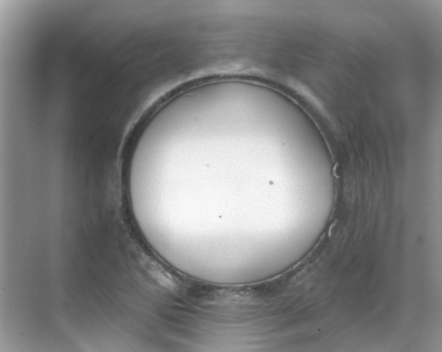 X0000068731270200605121509