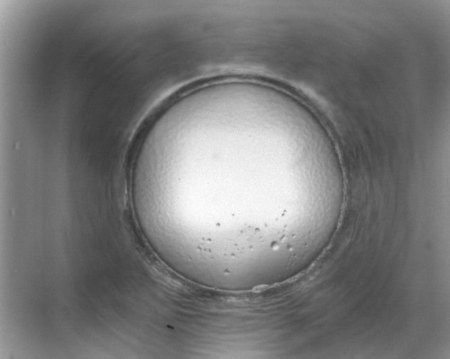 X0000068731271200605121508