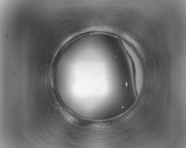 X0000068731272200605121508