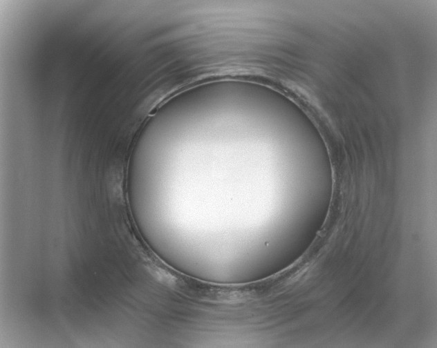 X0000068731273200605121508