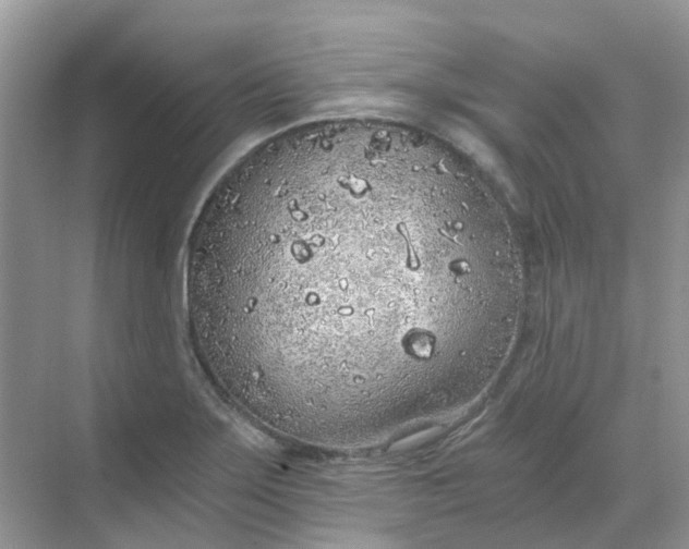 X0000068731275200605121508