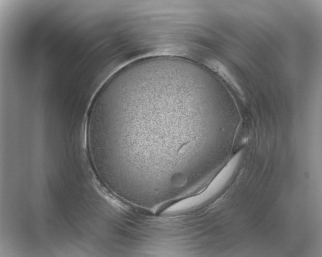 X0000068731276200605121508