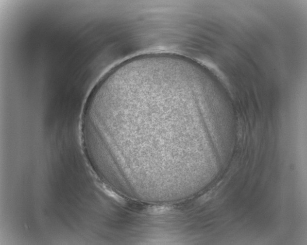 X0000068731278200605121508