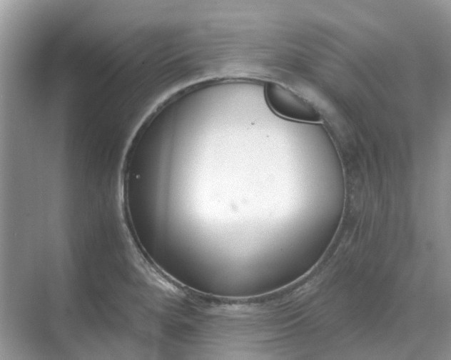 X0000068731280200605121508