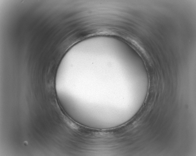 X0000068731281200605121508