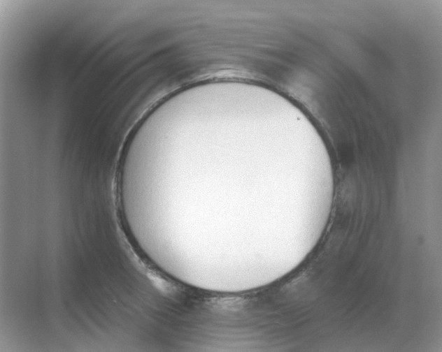 X0000068731282200605121508