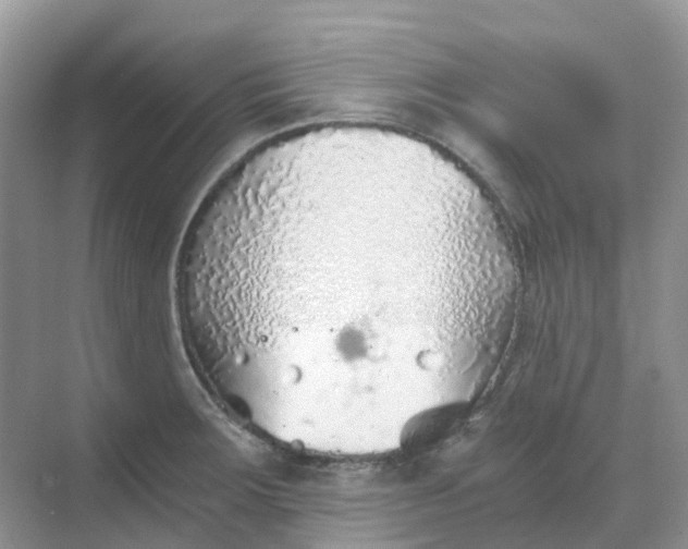 X0000068731283200605121508