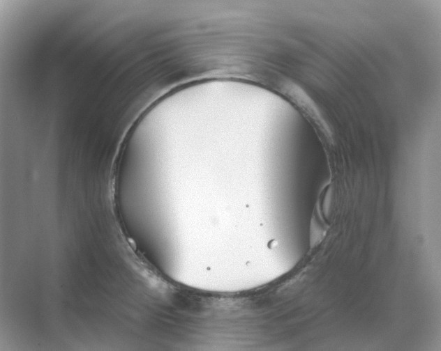 X0000068731284200605121508