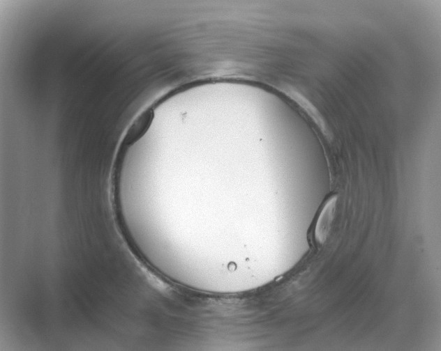 X0000068731285200605121508