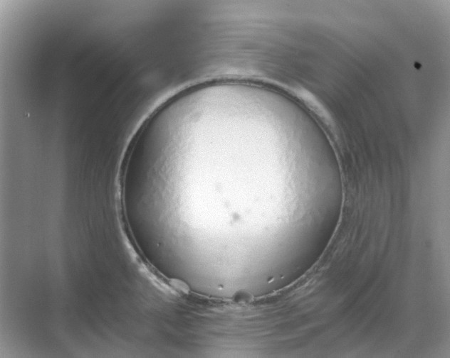 X0000068731287200605121508