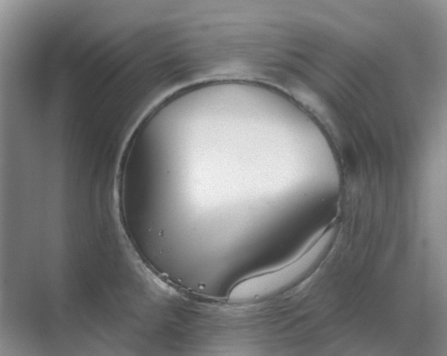 X0000068731288200605121508