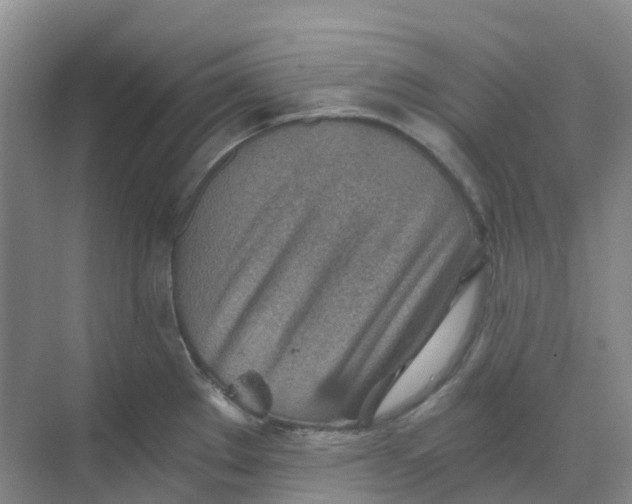 X0000068731289200605121508