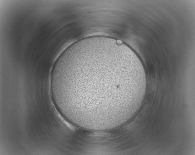 X0000068731290200605121508