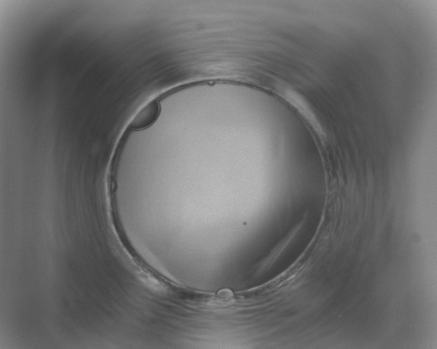 X0000068731291200605121508