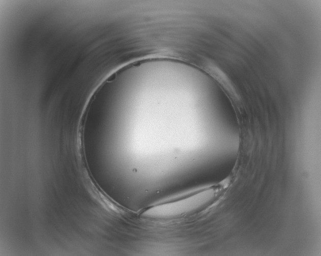 X0000068731292200605121508