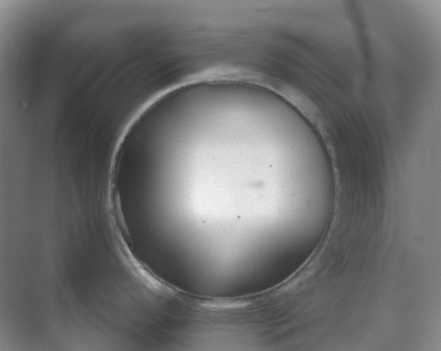 X0000068731296200605121508