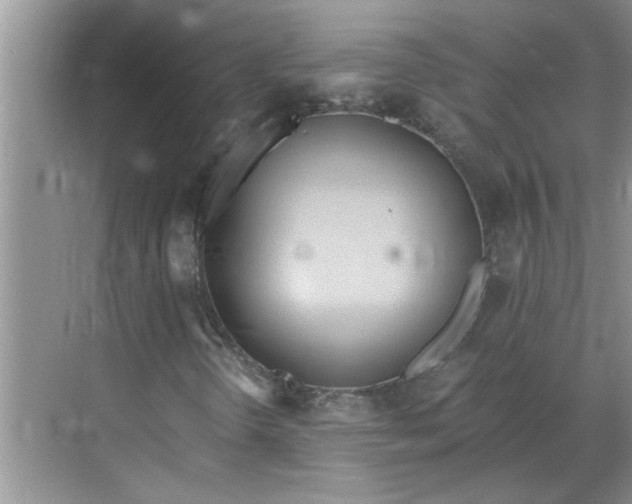 X0000068731298200605121507