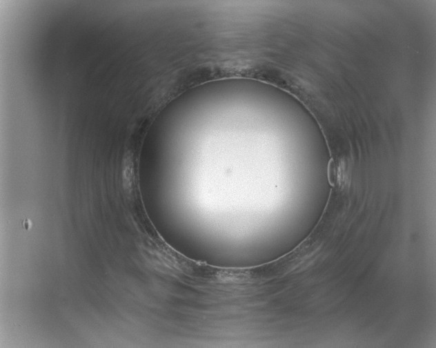 X0000068731299200605121507