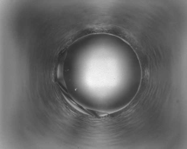 X0000068731300200605121507