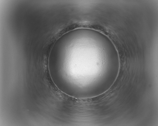 X0000068731301200605121507