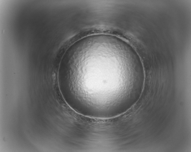 X0000068731302200605121507