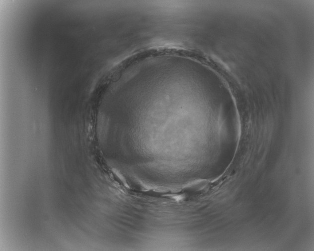 X0000068731303200605121507