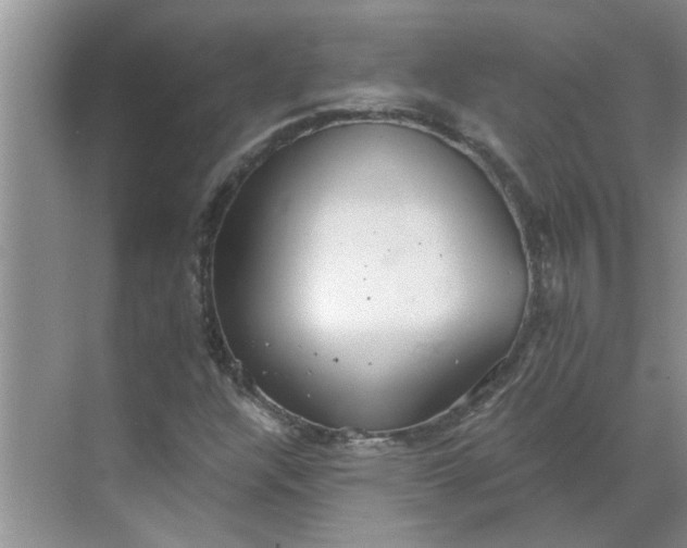 X0000068731304200605121507